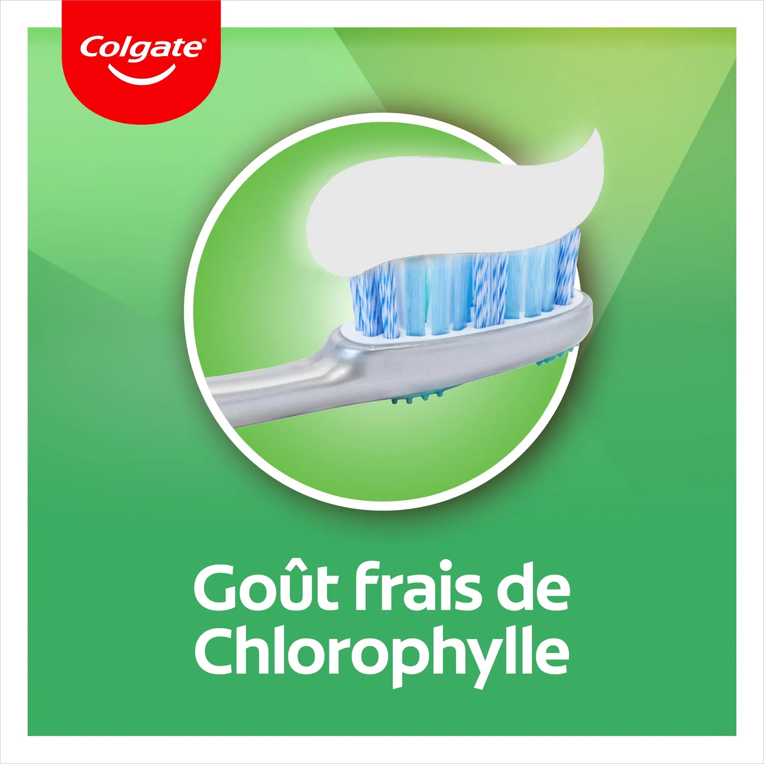 Colgate Fraîcheur Chlorophylle dentifrice lot de 12 x 75 ml fluor