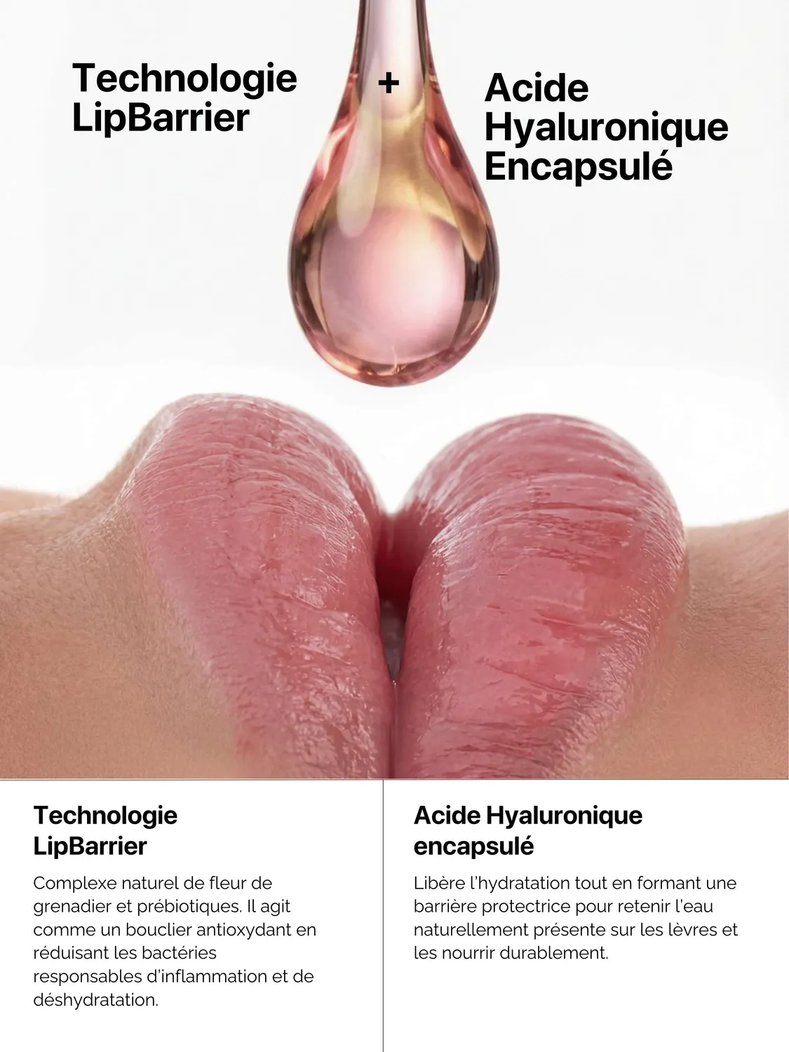The Smilist Kit Nude Kiss kit lèvres – baume teinté