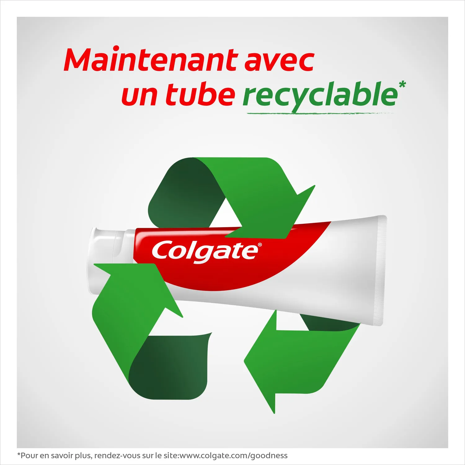 Colgate Fraîcheur Chlorophylle dentifrice lot de 12 x 75 ml fluor