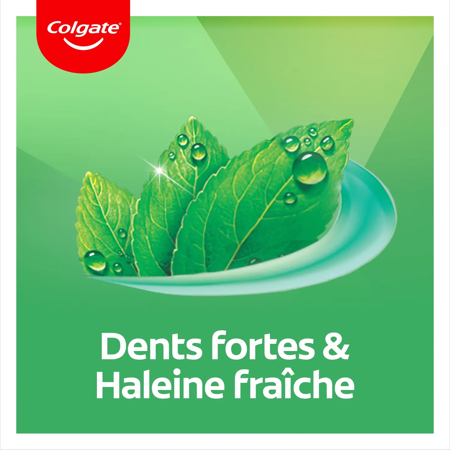Colgate Fraîcheur Chlorophylle dentifrice lot de 12 x 75 ml fluor
