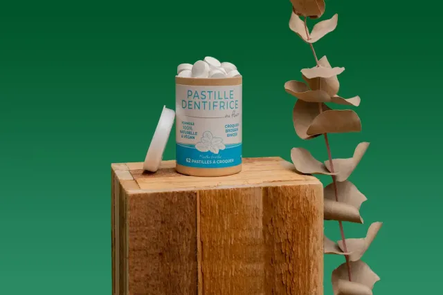 Frescoryl Menthe dentifrice à croquer 62 comprimés au fluor