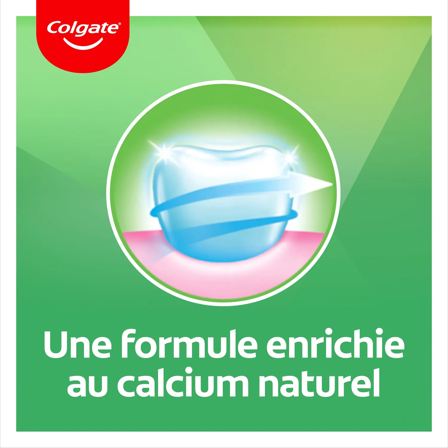 Colgate Fraîcheur Chlorophylle dentifrice lot de 12 x 75 ml fluor