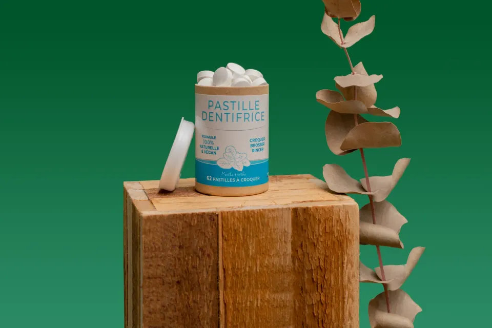 Frescoryl Dentifrice à croquer menthe 62 comprimés sans fluor