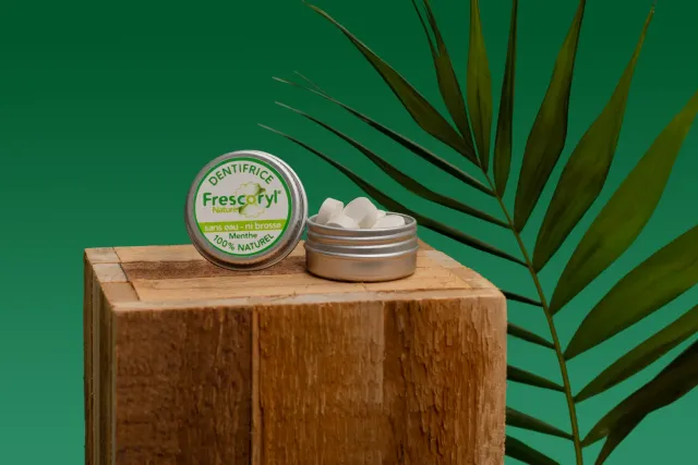 Frescoryl Dentifrice à croquer 10 comprimés menthe